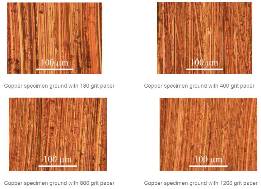 Metal specimen preparation